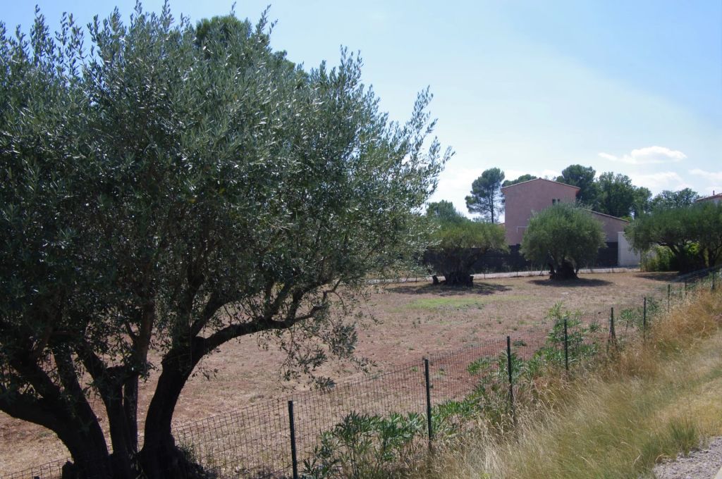 Vente Vente Terrain Lorgues - Réf. 10522  - Mandataire immobilier Régine Finistre - image 1