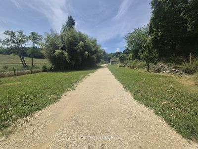 Vente Maison Marsolan - Réf. 11161  - Mandataire immobilier Sabrina Lahuerta - image 3