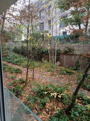 Vente Studio Massy - Réf. 10576  - Mandataire immobilier Jérôme Karsenti - image 5