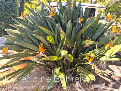 Grimaud 83310 – Maison