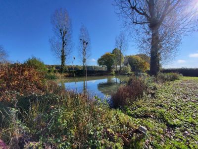 Vente Maison Lyons-la-Forêt - Réf. 11633  - Mandataire immobilier Bruno Lucet - image 11