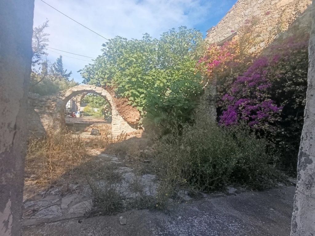 Vente Vente Local commercial La Palme - Réf. 11444  - Mandataire immobilier Brigitte Hirn - image 1