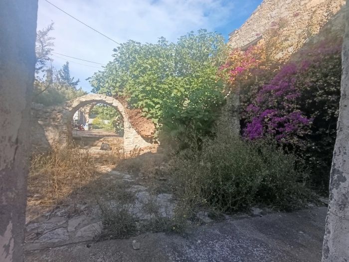 La Palme 11480 – Local commercial