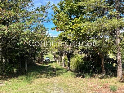 Vente Maison Champtercier - Réf. 11071  - Mandataire immobilier Corinne Gruber - image 2