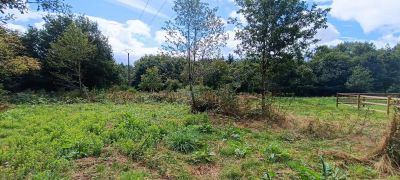 Vente Maison Pontivy - Réf. 11505  - Mandataire immobilier Julien Stil - image 25