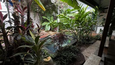 Vente Maison de ville Cayenne - Réf. 10756  - Mandataire immobilier Philippe Le Roux - image 2