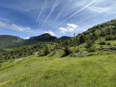 Vente Maison Majastres - Réf. 11035  - Mandataire immobilier Corinne Gruber - image 7