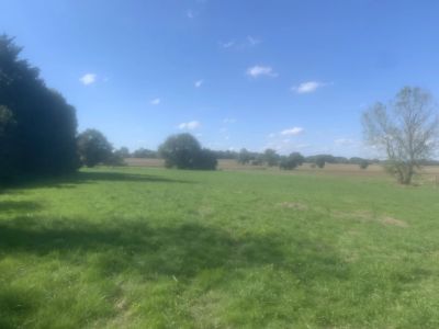 Vente Terrain constructible Ger - Réf. 11677  - Mandataire immobilier Eric Peyregne - image 3