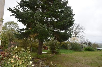 Vente Maison Iguerande - Réf. 11814  - Mandataire immobilier Franck Jacolin - image 3