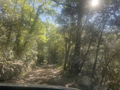 Vente Terrain inconstructible Lorgues - Réf. 10907  - Mandataire immobilier Sylvie Geler - image 2