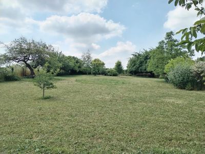 Vente Terrain Villebéon - Réf. 11630  - Mandataire immobilier Marie Butet - image 5