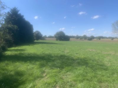 Vente Terrain constructible Ger - Réf. 11677  - Mandataire immobilier Eric Peyregne - image 2