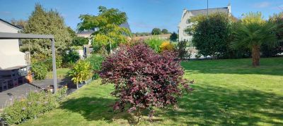 Vente Maison Saint-Barthélemy - Réf. 11803  - Mandataire immobilier Julien Stil - image 21