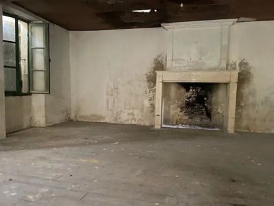 Romegoux 17250 – Ensemble immobilier