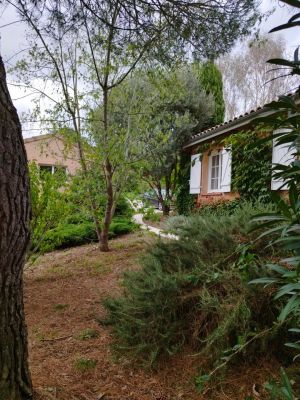 Vente Maison Muret - Réf. 11760  - Mandataire immobilier Catalina Gutierrez - image 11