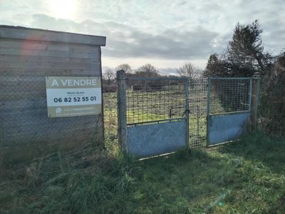 Vente Terrain Égreville - Réf. 10284  - Mandataire immobilier Marie Butet - image 3
