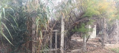 Vente Terrain constructible La Palme - Réf. 11853  - Mandataire immobilier Brigitte Hirn - image 3