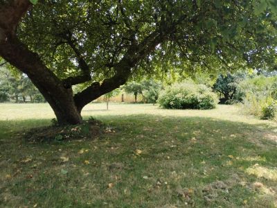 Vente Terrain Villebéon - Réf. 11630  - Mandataire immobilier Marie Butet - image 2