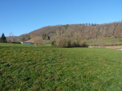 Vente Terrain constructible Saint-Bueil - Réf. 11718  - Mandataire immobilier Azzédine Chared - image 6