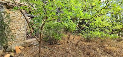 La Palme 11480 – Atelier