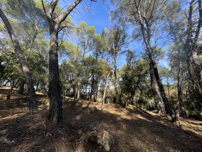 Terrain constructible 2610 m²