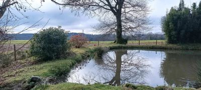 Séglien 56160 – Hangar