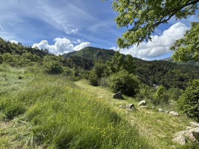 Vente Maison Majastres - Réf. 11035  - Mandataire immobilier Corinne Gruber - image 8