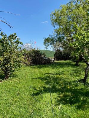 Vente Terrain constructible Bax - Réf. 10365  - Mandataire immobilier Catalina Gutierrez - image 2