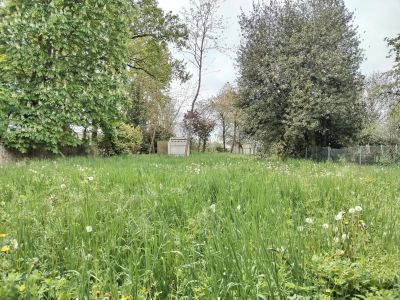 Vente Grange La Selle-sur-le-Bied - Réf. 11735  - Mandataire immobilier Marie Butet - image 5