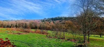 Vente Maison Guern - Réf. 11959  - Mandataire immobilier Julien Stil - image 4