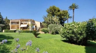 Vente Studio Cannes - Réf. 12010  - Mandataire immobilier Céline Haye - image 11