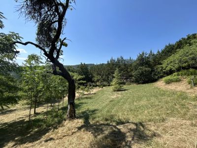 Digne-les-Bains 04000 – Maison