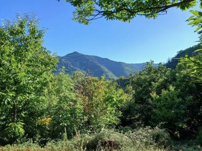 Vente Maison La Souche - Réf. 11976  - Mandataire immobilier Loick Richard - image 3