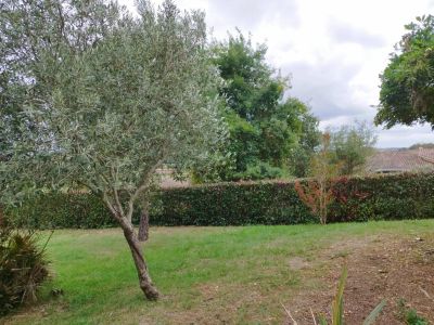 Vente Maison Muret - Réf. 11760  - Mandataire immobilier Catalina Gutierrez - image 19