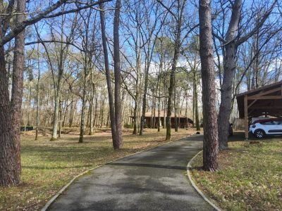 Vente Chalet Ambrus - Réf. 12008  - Mandataire immobilier Sabrina Lahuerta - image 2