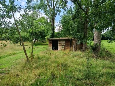 Vente Maison Terres de Druance - Réf. 12032  - Mandataire immobilier Agent Mandataire France - image 6