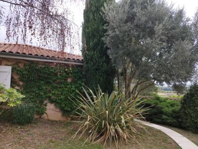 Vente Maison Muret - Réf. 11760  - Mandataire immobilier Catalina Gutierrez - image 8