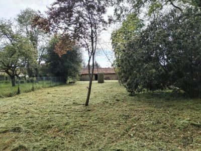 Vente Grange La Selle-sur-le-Bied - Réf. 11735  - Mandataire immobilier Marie Butet - image 3