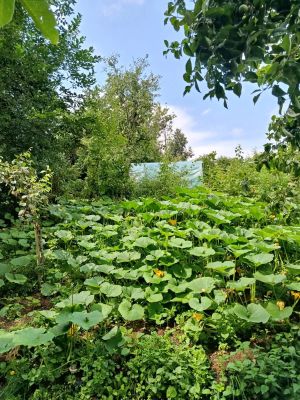 Vente Maison Lassy - Réf. 12032  - Mandataire immobilier Stéphane Fogel - image 34