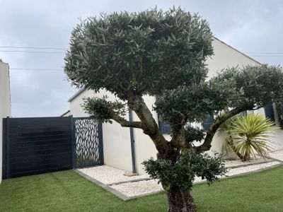 Vente Villa Aigrefeuille-d'Aunis - Réf. 11599  - Mandataire immobilier Bruno Duval - image 33