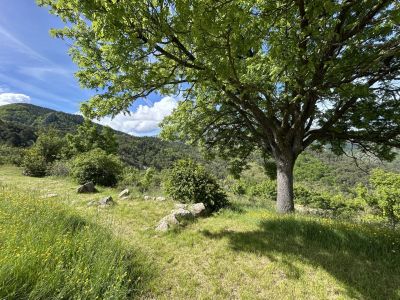Vente Maison Digne-les-Bains - Réf. 11035  - Mandataire immobilier Corinne Gruber - image 17