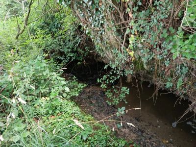 Vente Maison Lassy - Réf. 12032  - Mandataire immobilier Stéphane Fogel - image 40