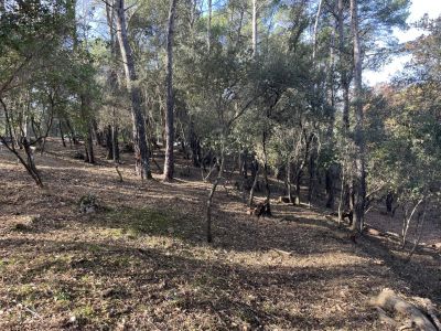 Vente Terrain constructible Lorgues - Réf. 11152  - Mandataire immobilier Sylvie Geler - image 2