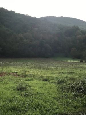 Vente Terrain constructible Ardiège - Réf. 12031  - Mandataire immobilier Catalina Gutierrez - image 3