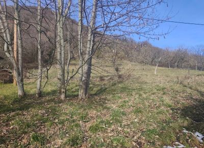 Vente Maison Voiron - Réf. 12102  - Mandataire immobilier Azzédine Chared - image 4