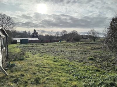 Vente Terrain Égreville - Réf. 10284  - Mandataire immobilier Marie Butet - image 2