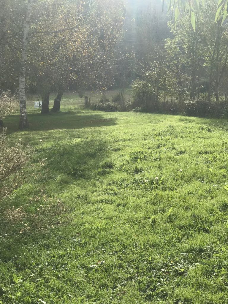 Terrain constructible 1197 m²
