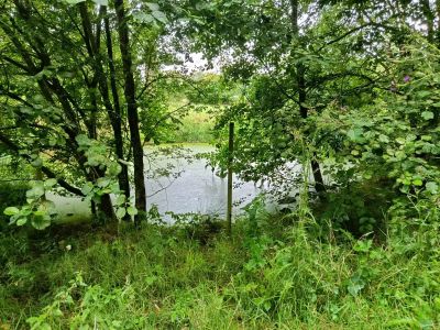 Vente Maison Lassy - Réf. 12032  - Mandataire immobilier Stéphane Fogel - image 39