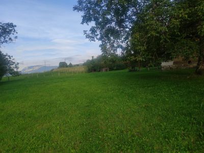 Vente Maison Saint-Geoire-en-Valdaine - Réf. 9946  - Mandataire immobilier Azzédine Chared - image 4