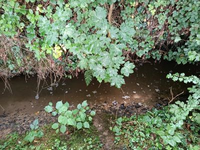 Vente Maison Lassy - Réf. 12032  - Mandataire immobilier Stéphane Fogel - image 41